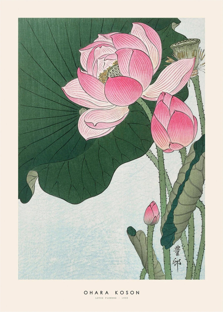 Ohara Kosons plakat med titlen Lotus Flowers. Plakat af lyserød lotusblomster omgivet af grønne blade. Baggrunden er meget lys lyseblå