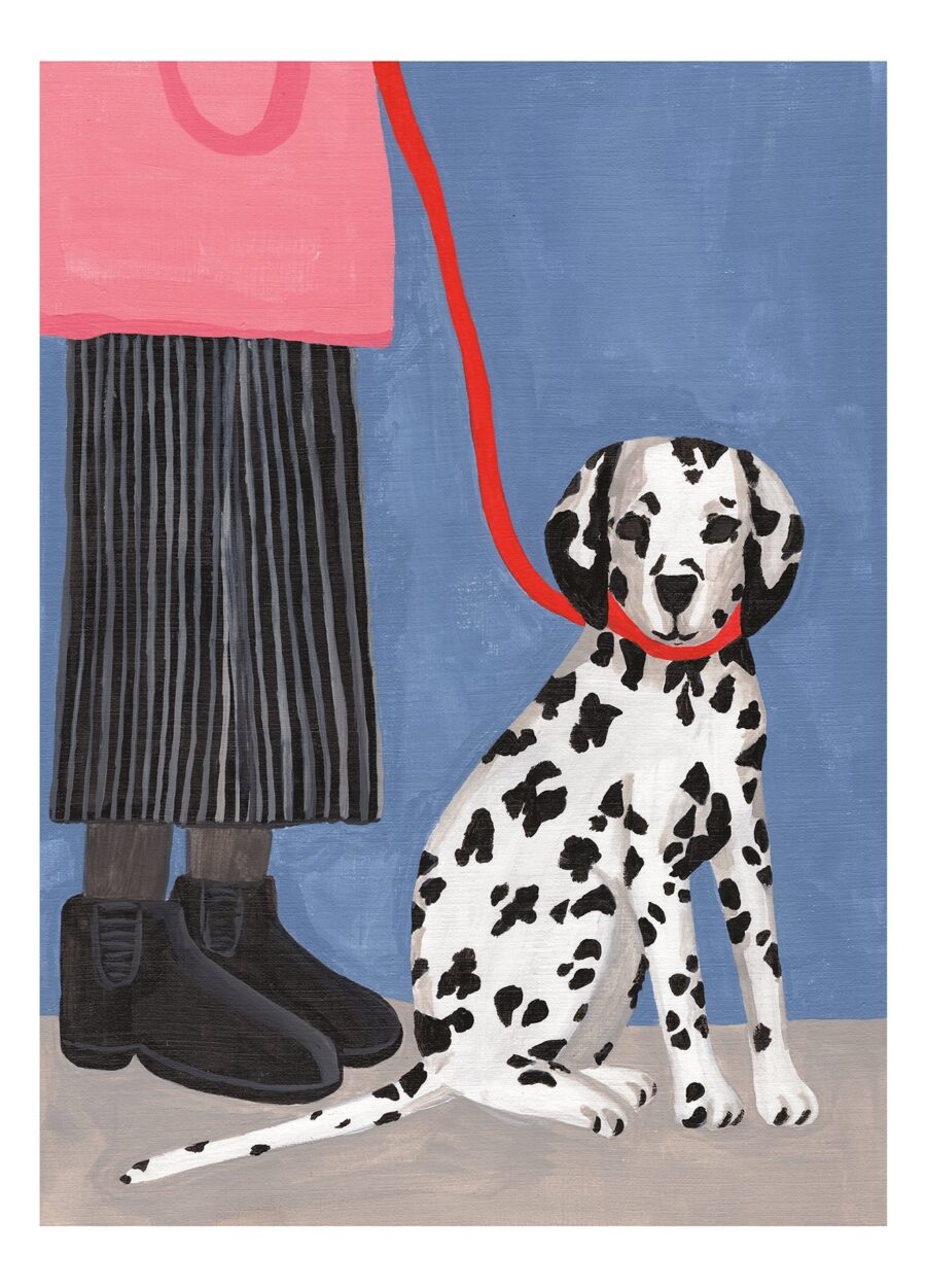 Dalmatian - Iga Kosicka
