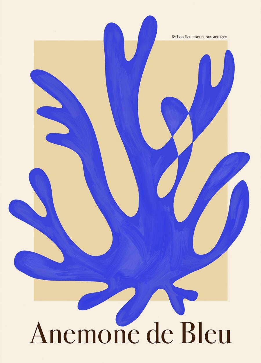 Lois Schindeler - Anemone de Blue