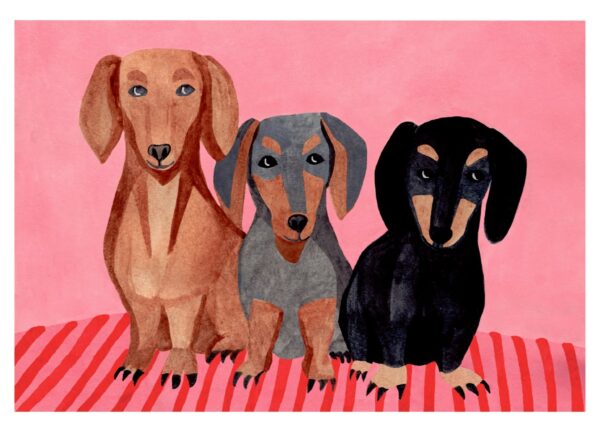 Dachshunds -  Iga Kosicka