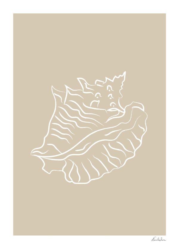 Seashell 02 - Emilie Luna