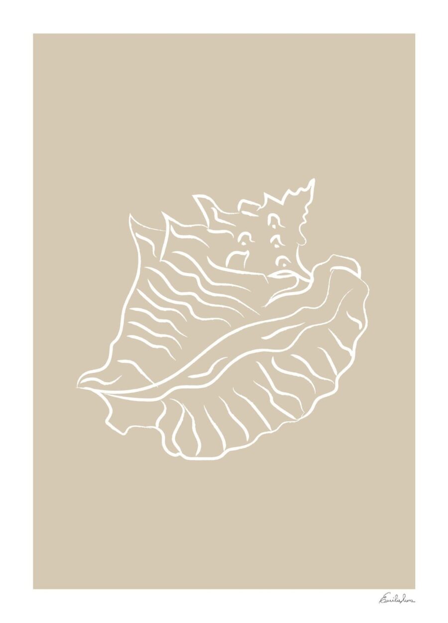 Seashell 02 - Emilie Luna