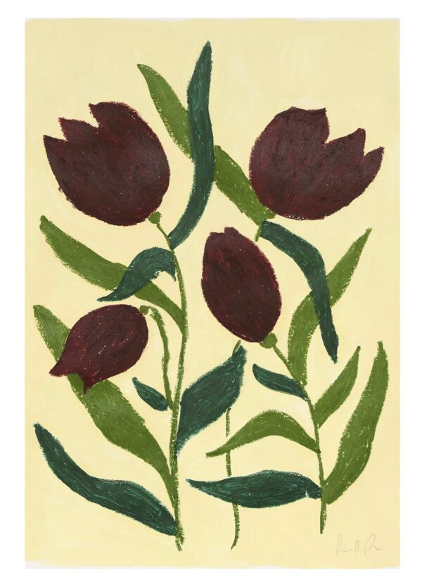 Dark tulips - Camilla Bergqvist