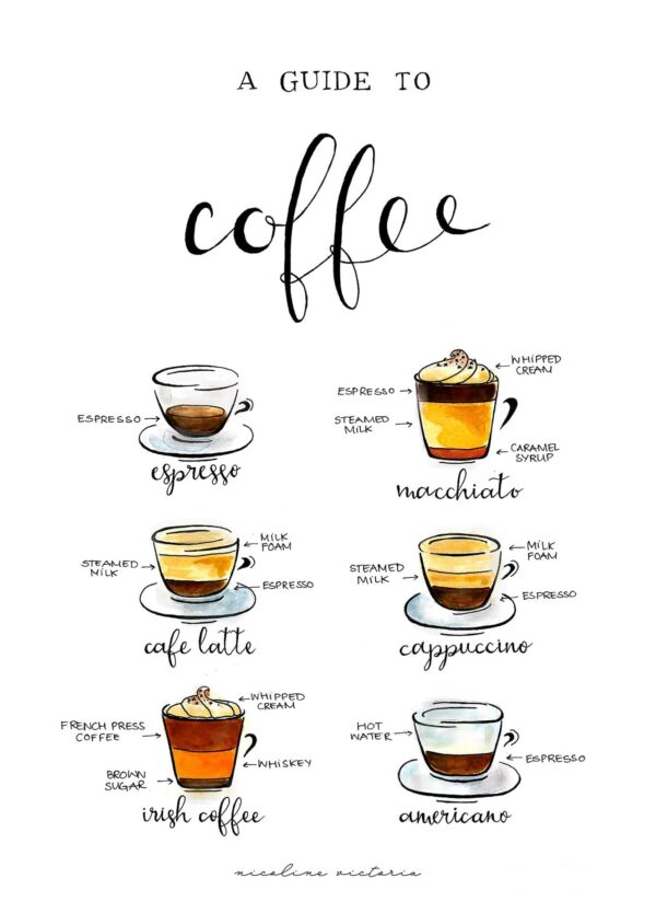 Coffee Guide - Nicoline Victoria