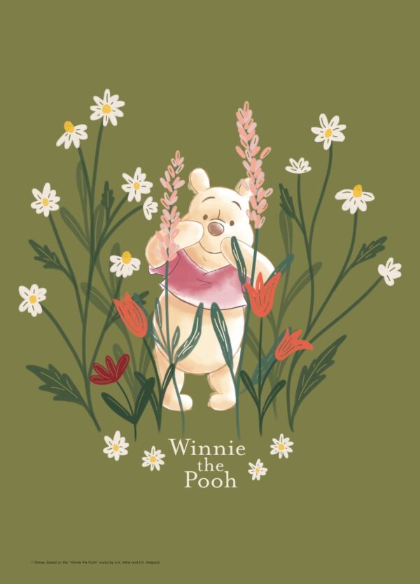 Peter Plys i blomstermarken - Disney