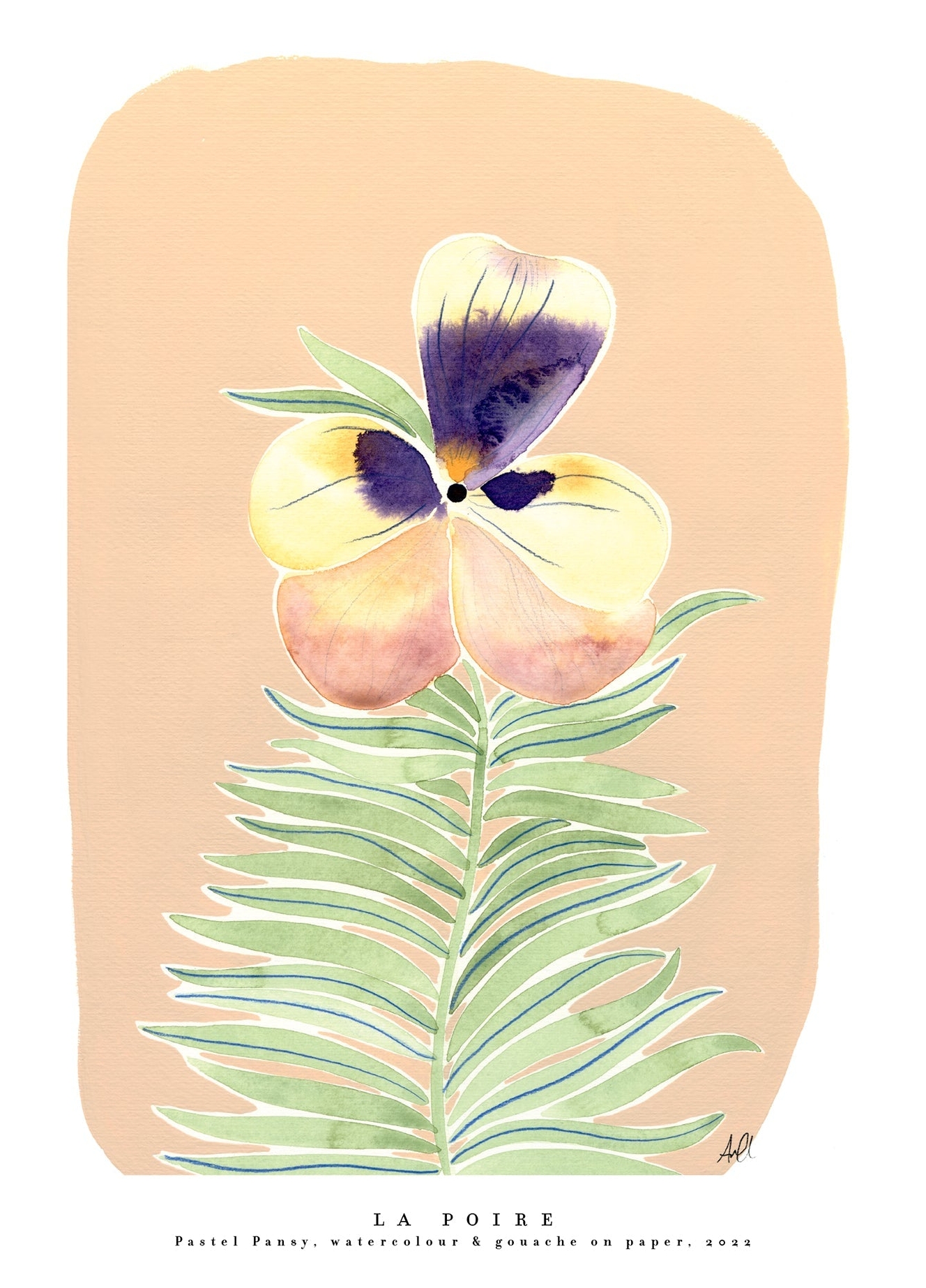 Pastel Pansy - La Poire